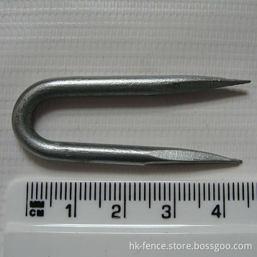 hot-dipped galvanized fence staples / U-Nails/ U Type Nails